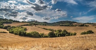 Out of Town Tours in Florence